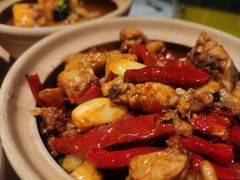 -幸福的烤包子·新疆菜