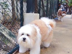 -TrueLove @ Neverland (Husky Cafe)