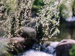 -中国茶叶博物馆(双峰馆区)