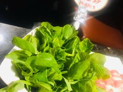 豌豆尖-海底捞火锅(连城广场店)