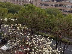 -浙江大学(紫金港校区)