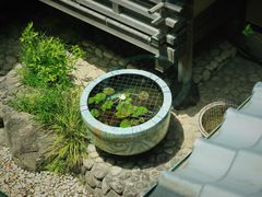 -料亭菊水楼