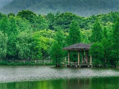 -浙江农林大学(东湖校区)