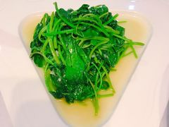 -山顶顶概念四川菜(黄埔大道店)