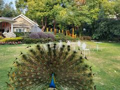 -J Create城市露营咖啡·简餐·宠物(上海动物园店)