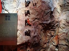 -迪庆藏族自治州博物馆