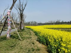 -白鹭湾湿地公园