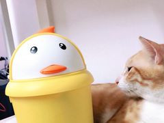 -TASTE(南海万科广场店)