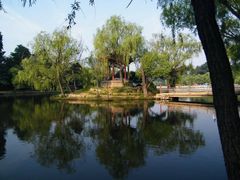 -二一九公园