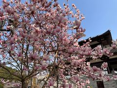 -孙武文化园-停车场