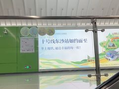 -华哥新鲜猪精品美食