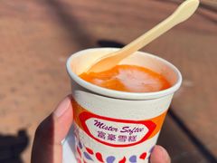 -富豪雪糕车流动点(尖沙咀店)