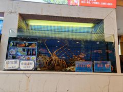 -益利大酒楼(井岸店)