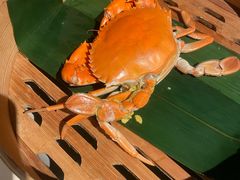 -成隆行·蟹王府(淮海店)