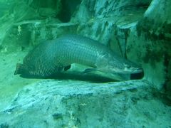 -华夏文旅西安度假区