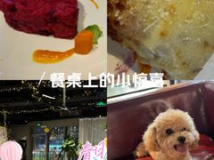 -百好乐宠物友好餐厅(朝外大街店)