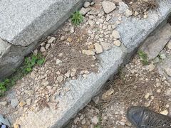 -石老人观光园