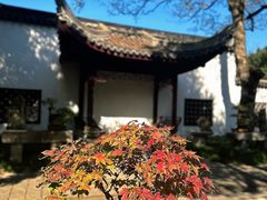 -上海醉白池公园