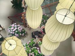 -瑞虹新天地月亮湾