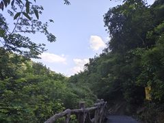 -东莞市大岭山森林公园