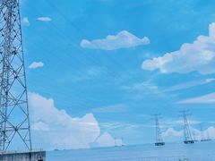 -宝安西湾红树林湿地公园