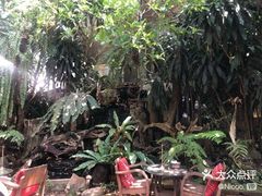 -Fern Forest Cafe