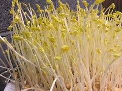 -巴倒烫陆派重庆火锅(南山店)