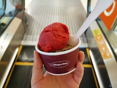 -哈根达斯(龙湖时代天街店)