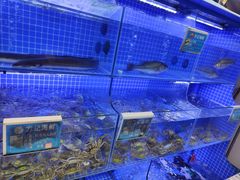 -方记海鲜大排档(乐山形象店)