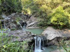 -广州白江湖森林公园