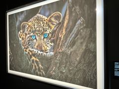 -罗红摄影艺术馆