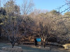 -北京西山国家森林公园