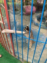 -萌宠亲子动物乐园(槐房万达店)