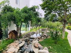 -维兰西餐(万泉河店)