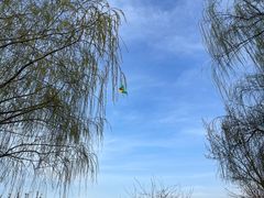 -太阳宫公园