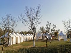 -上海长兴岛郊野公园