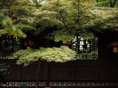 -天一阁博物院