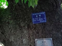 -东梓关景区村庄