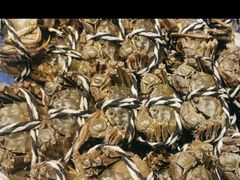 -万达瑞华酒店美食汇自助餐厅(楚河汉街店)