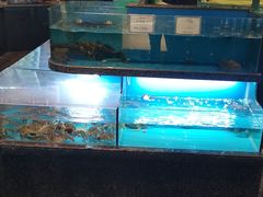 -江滨九号.中餐厅(滨江店)