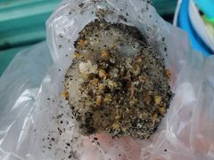 -叶氏麻糍(鼓浪屿店)