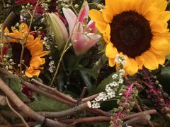 -广交会威斯汀酒店