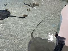 -台州海洋世界