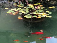 -胡氏古民居建筑
