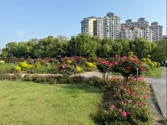 -金银湖国家城市湿地公园