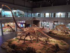 -自贡恐龙博物馆