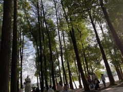 -东湖落雁景区