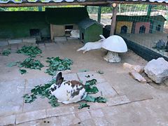 -兰陵国家农业公园