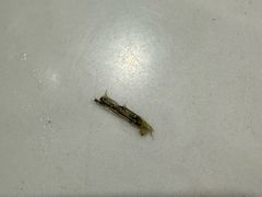 -韶山冲湘菜馆(黄桦路店)