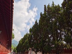 -南岳衡山风景名胜区-南岳大庙